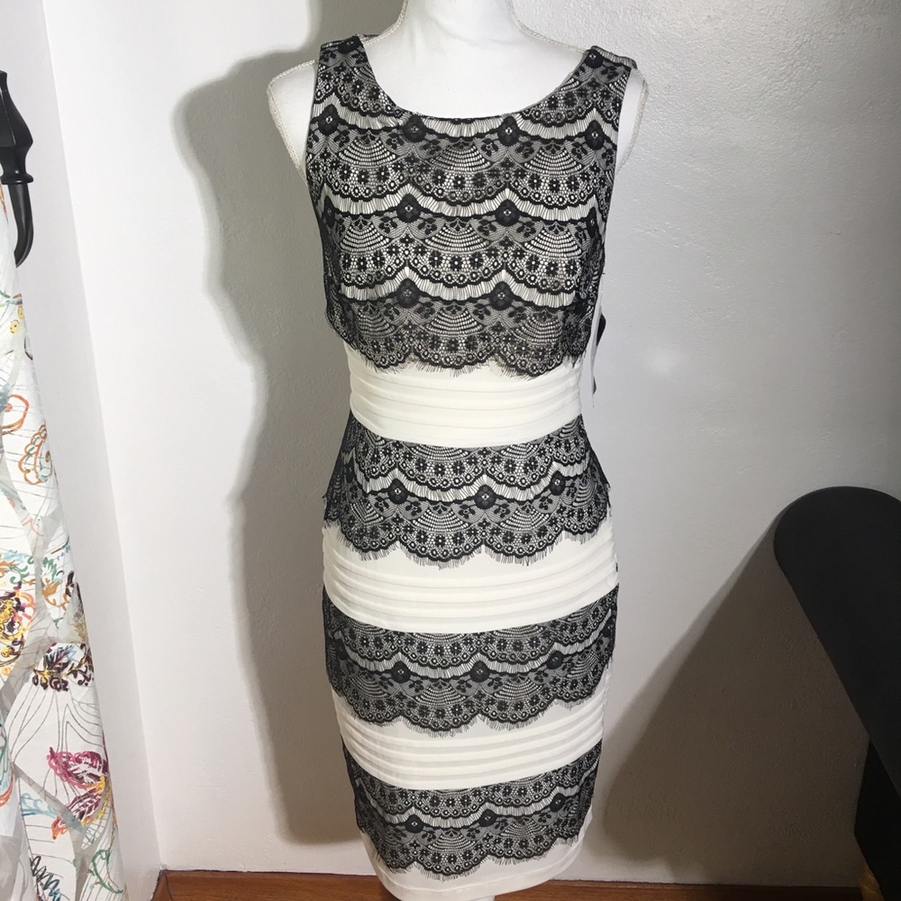 NWT JAX Dress Size 8